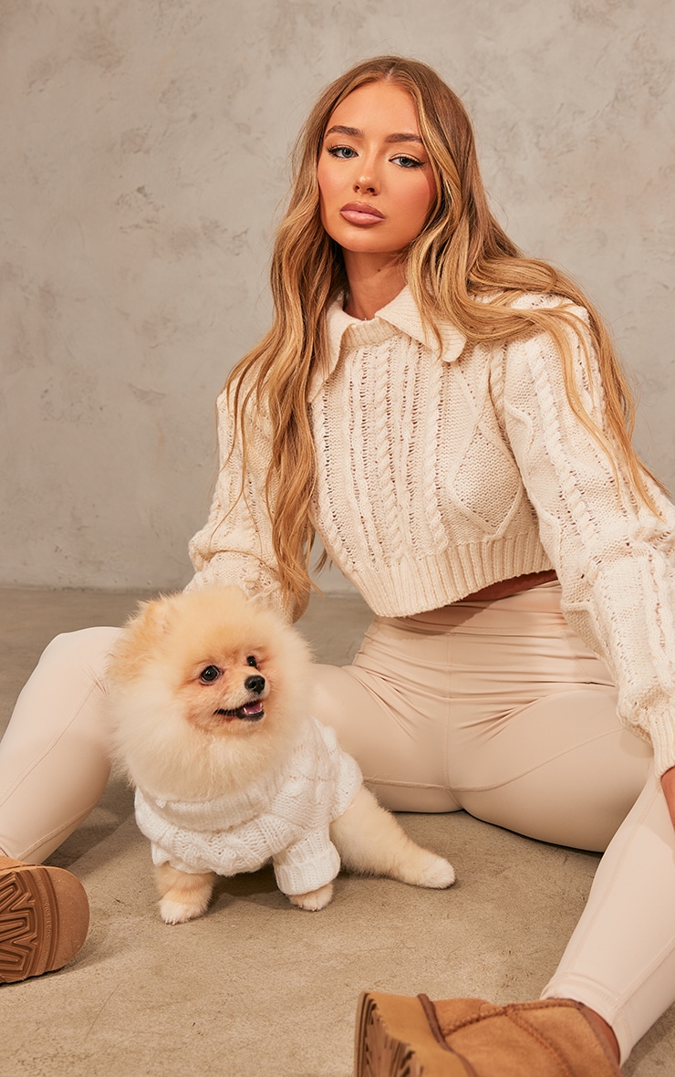 PLT Animaux Pull pour chien vanille cosy en maille torsadée image 4