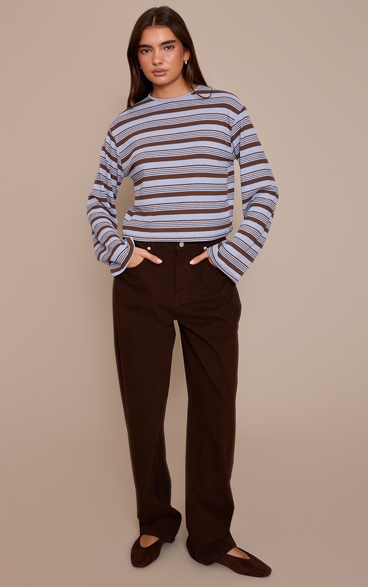 Blue Textured Stripe Detail Long Sleeve Top  image 3