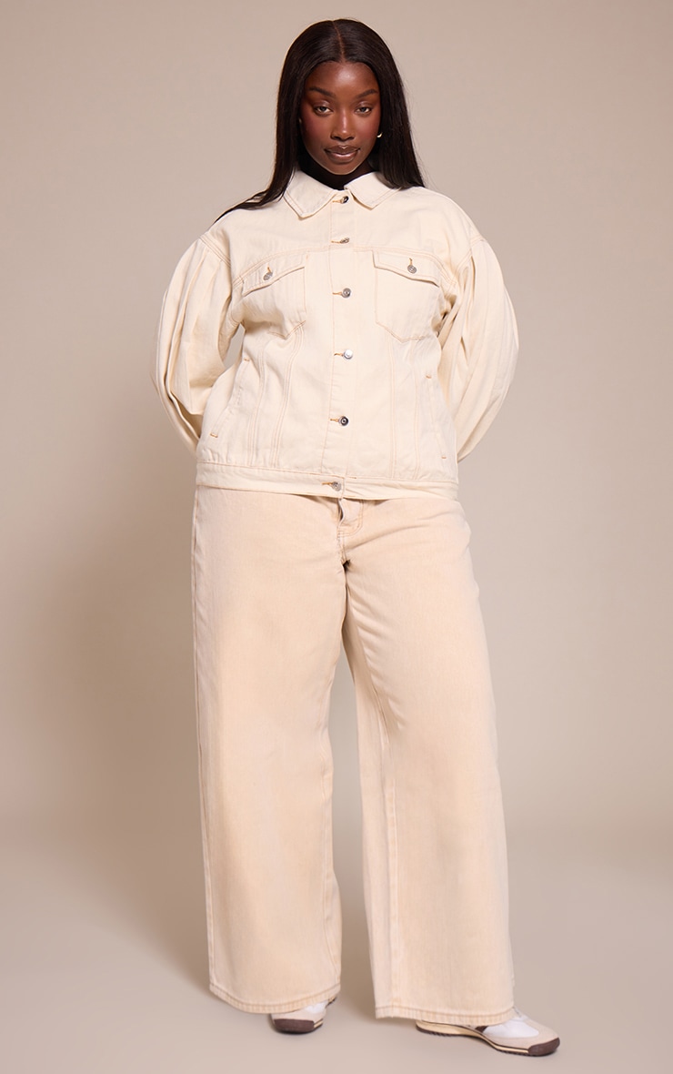 Plus Light Stone Straight Leg Dip Front Jeans