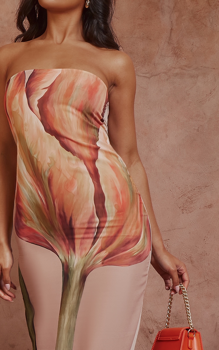 Stone Oversized Chiffon Floral Print Bandeau Maxi Dress image 4