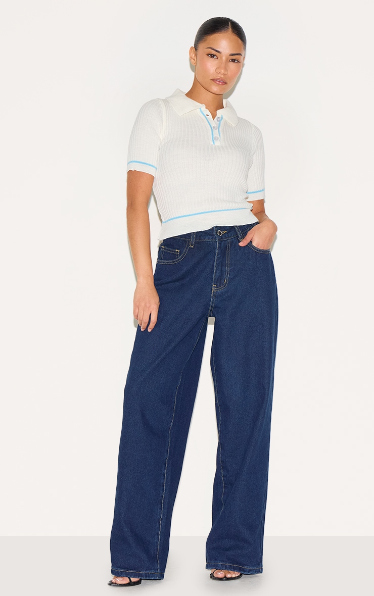 Petite Baby Blue Knitted Polo Top image 3