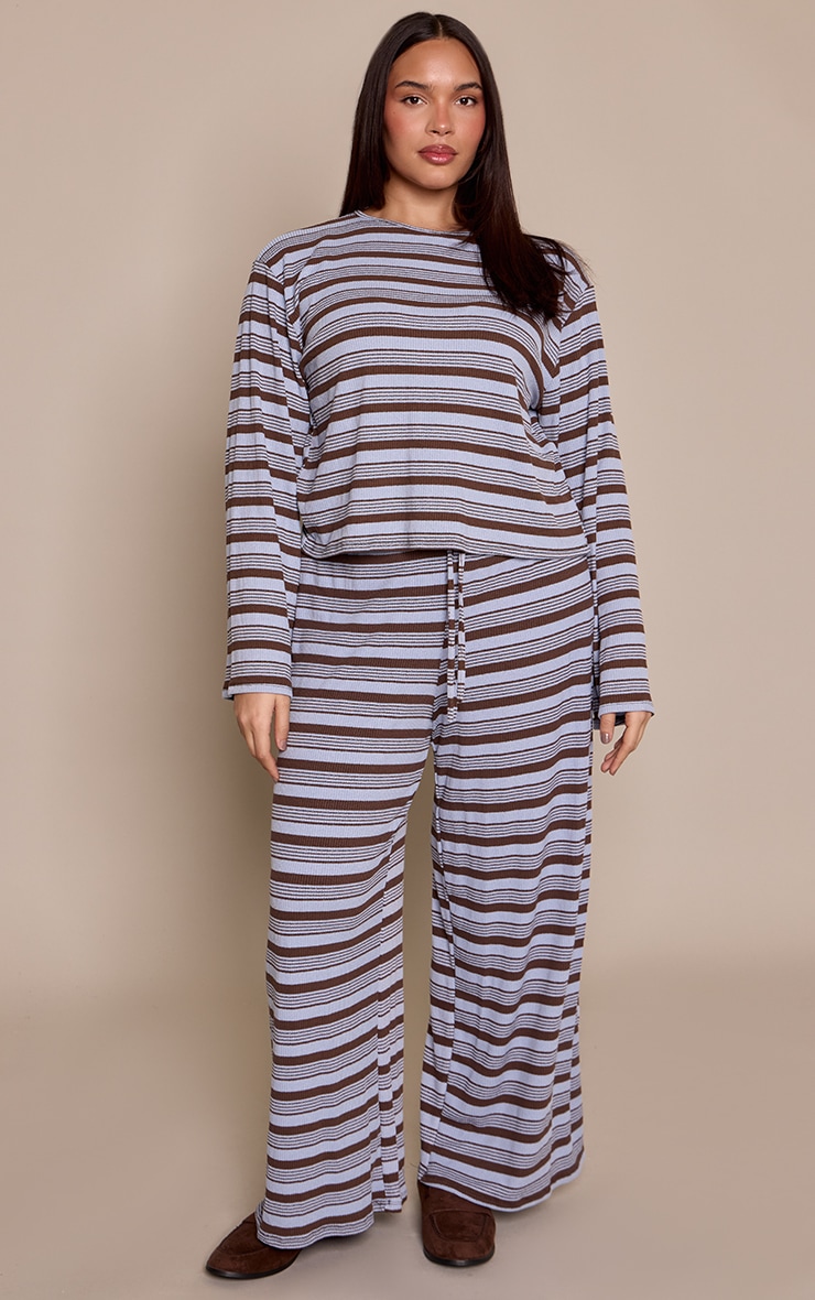 Plus Blue Textured Stripe Detail Long Sleeve Top image 3