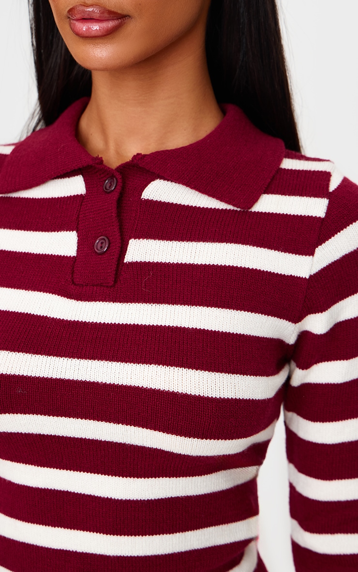 Petite Burgundy Knitted Stripe Collar Detail Long Sleeve Top image 4