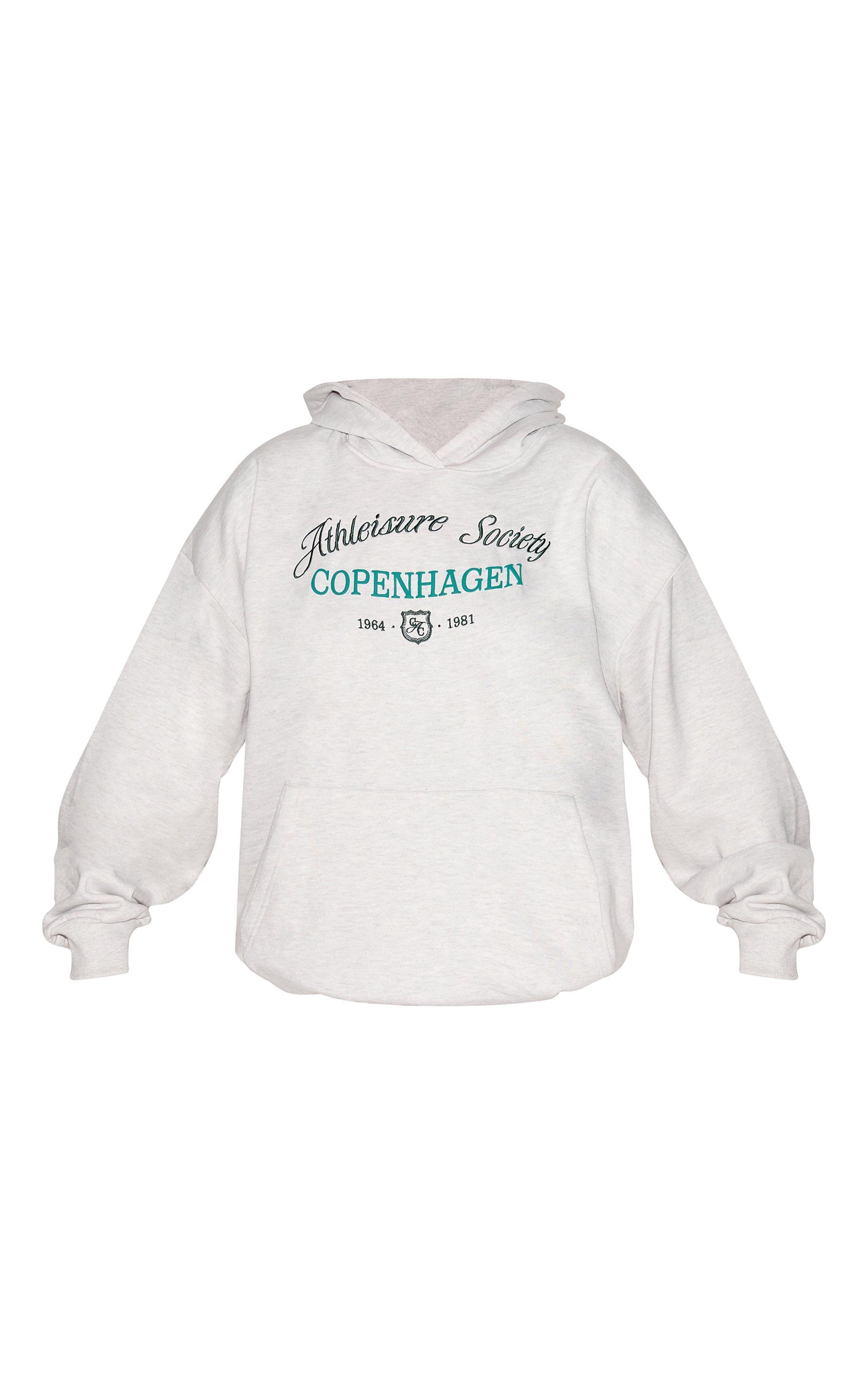 Plus Hoodie deluxe gris brodé "New York" image 5
