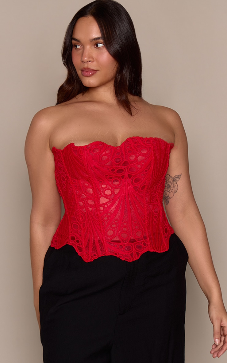 Plus Red Textured Sheer Floral Lace Corset image 1