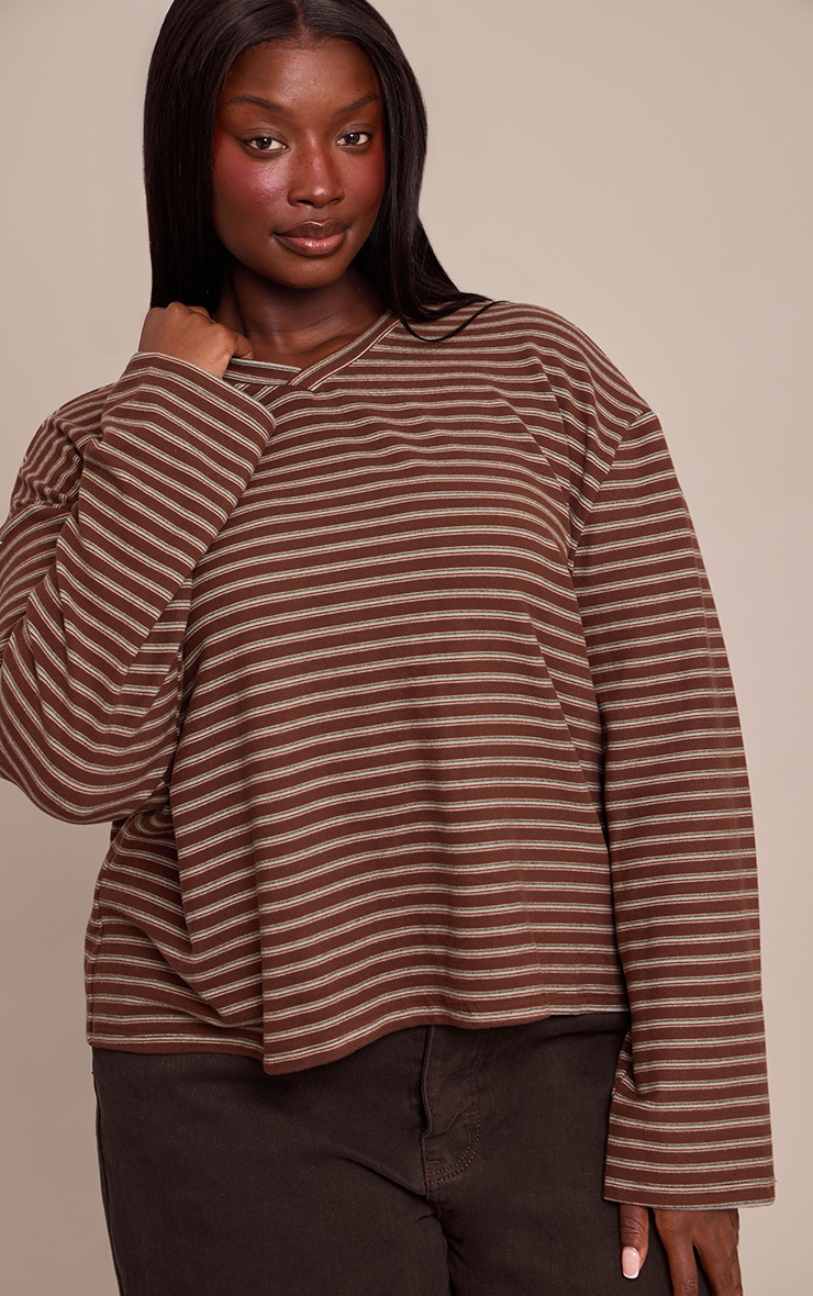 Plus Chocolate Striped Soft Fleece V Neck Sweatshirt image 4