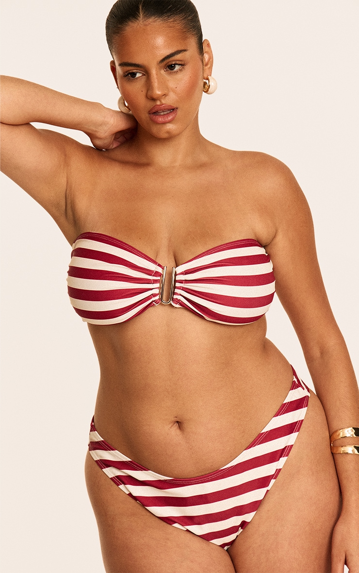 Plus Burgundy Stripe Tanga Bikini Bottoms image 3