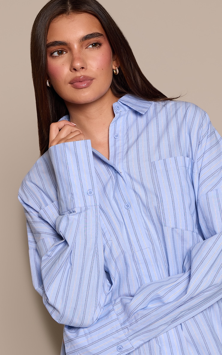 Blue Pinstripe Cotton Poplin Long Sleeve Puffball Dress image 4
