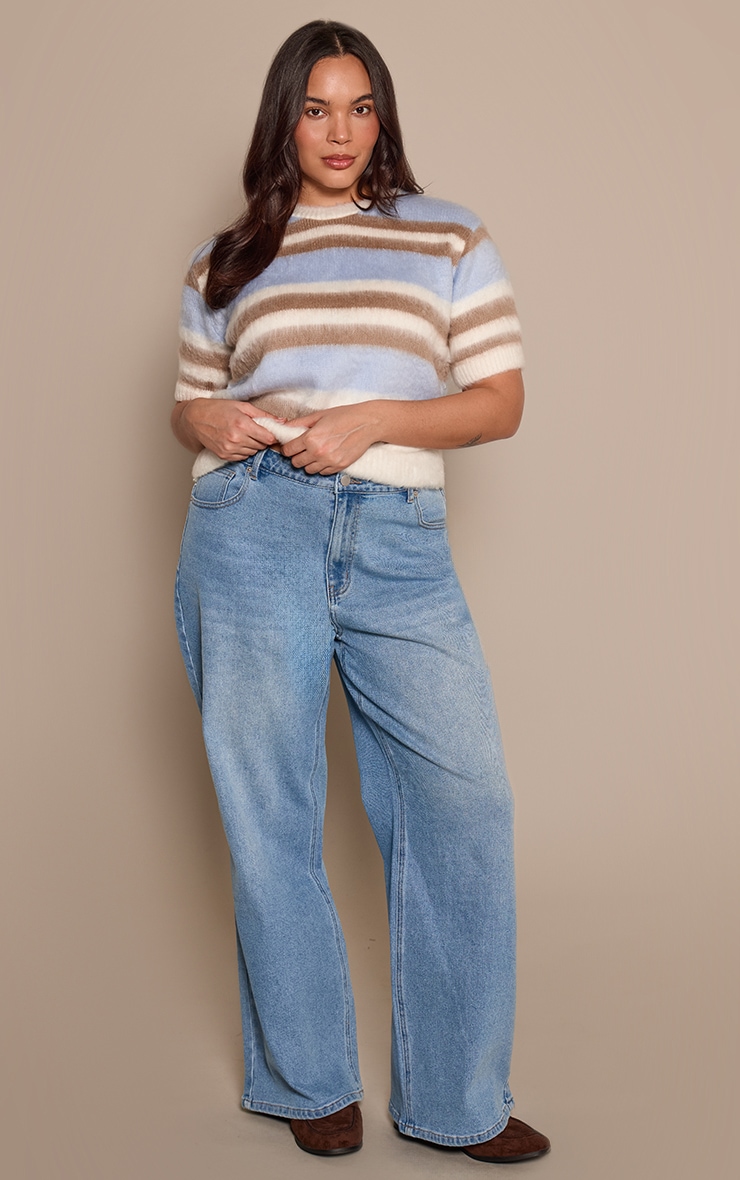  Plus Soft Grey Brushed Striped T-Shirt image 3