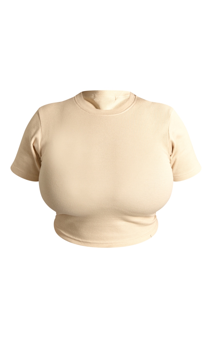 Plus Stone Basic Rib Short Sleeve Crop Top image 5