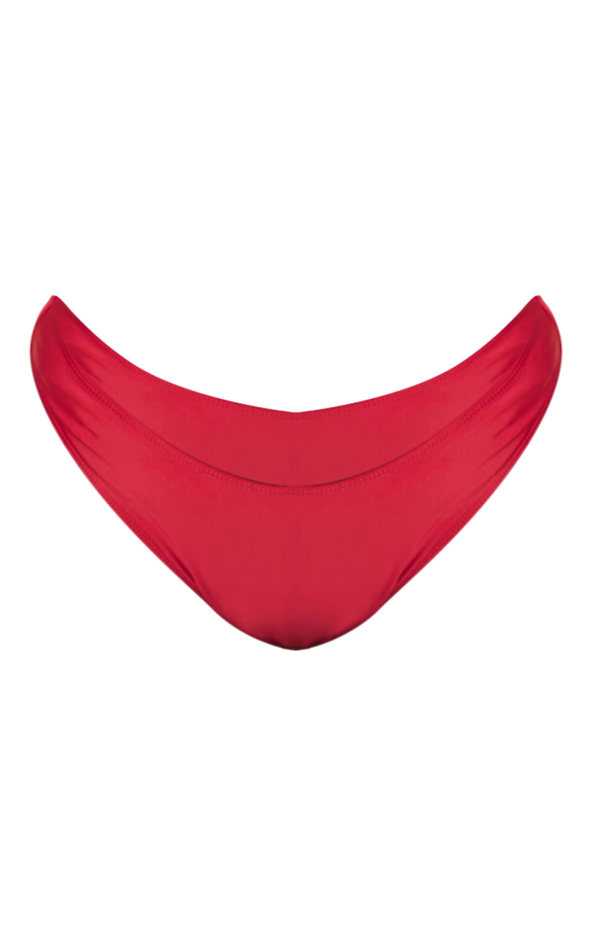 Plus Burgundy Tanga Bikini Bottoms image 5