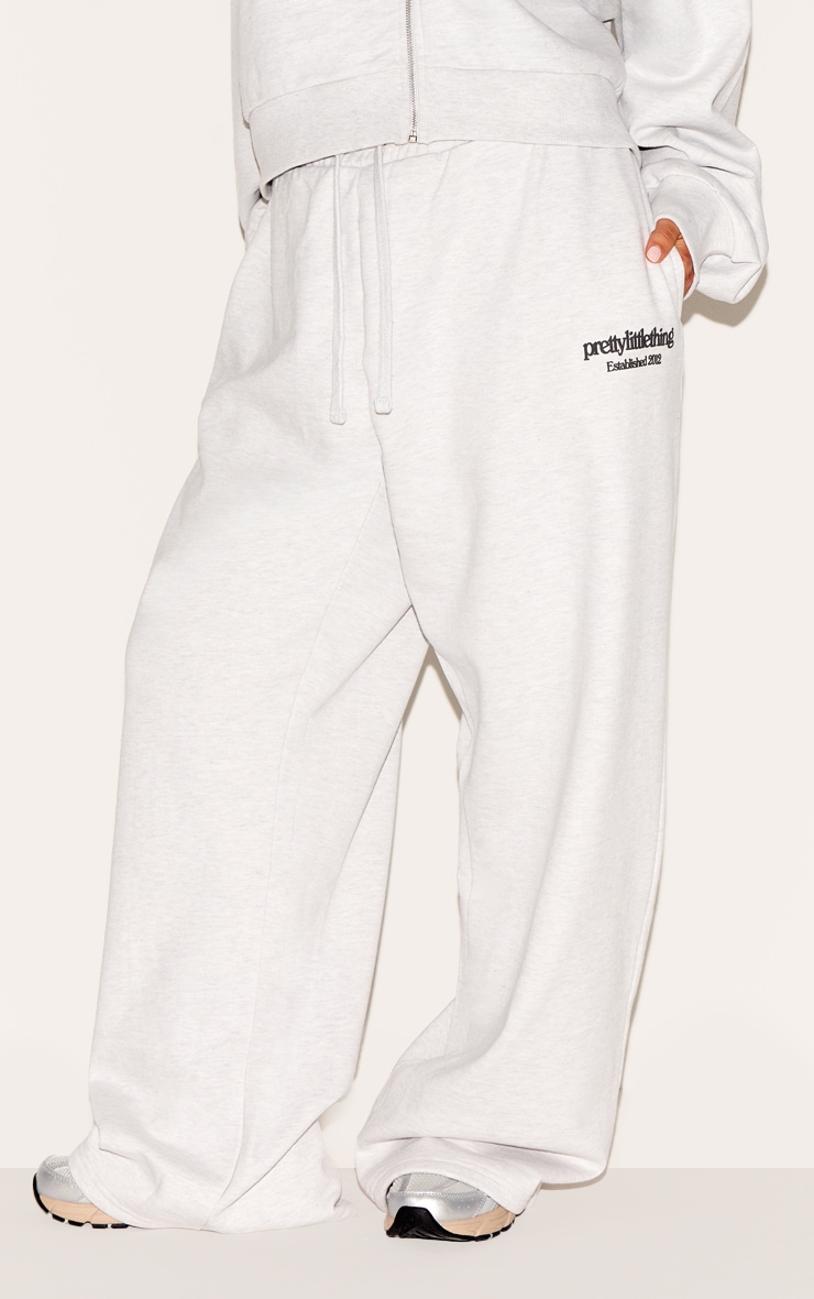 Plus Washed Grey Premium Print Wide Leg Sweatpants image 2