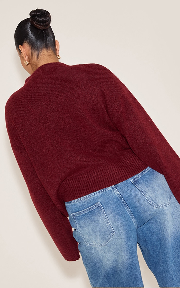 Plus Deep Red Knit High Neck Crop Jumper image 2