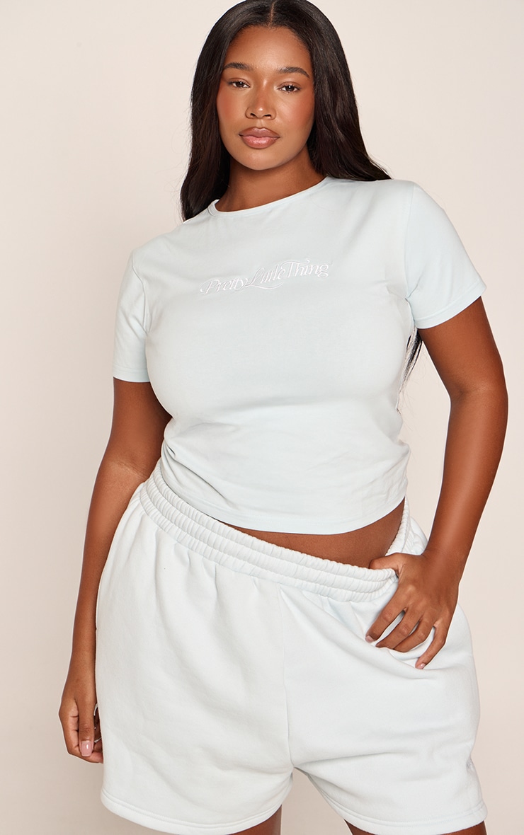 Plus Light Blue Embroidered Sweat Short Sleeve T-Shirt