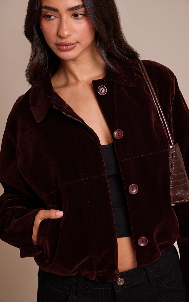 Petite Chocolate Velvet Bomber Jacket  image 4