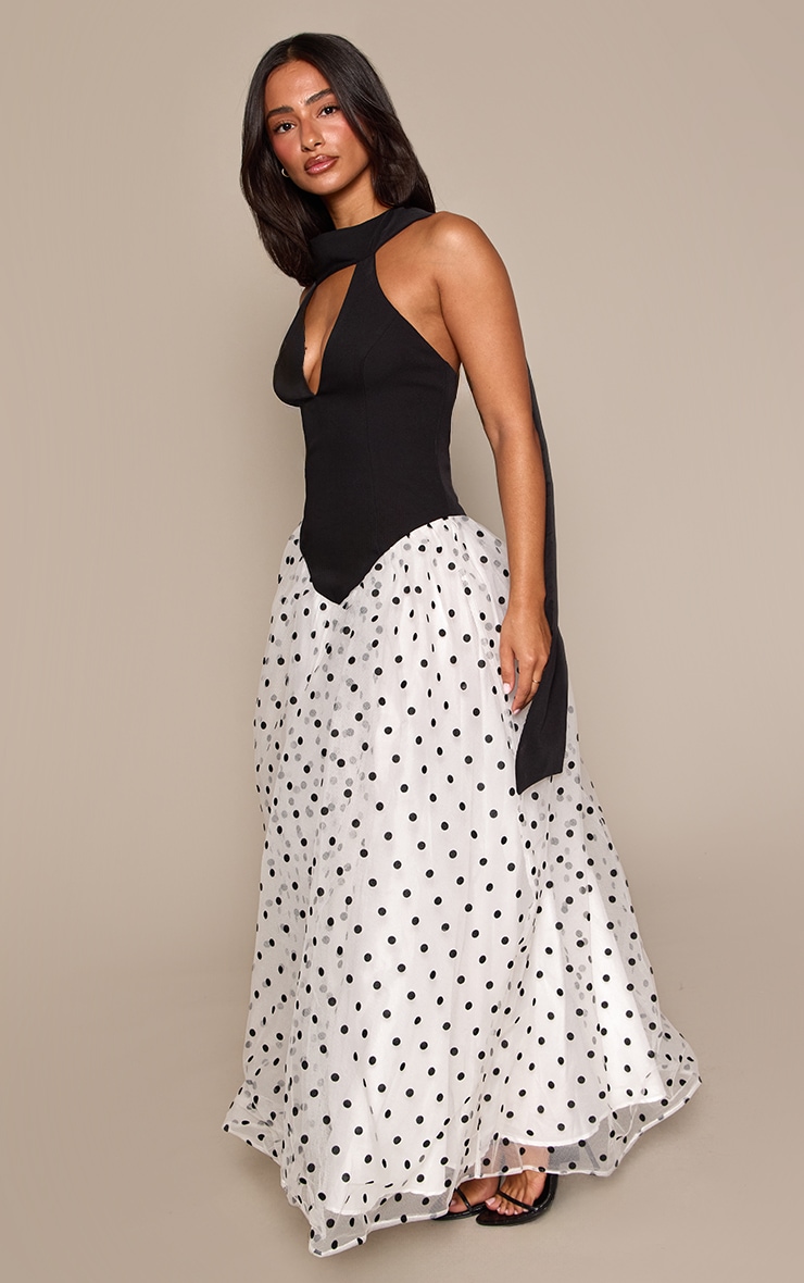 Petite Black Polka Dot Halterneck Scarf Dropped Waist Mesh Maxi Dress image 3