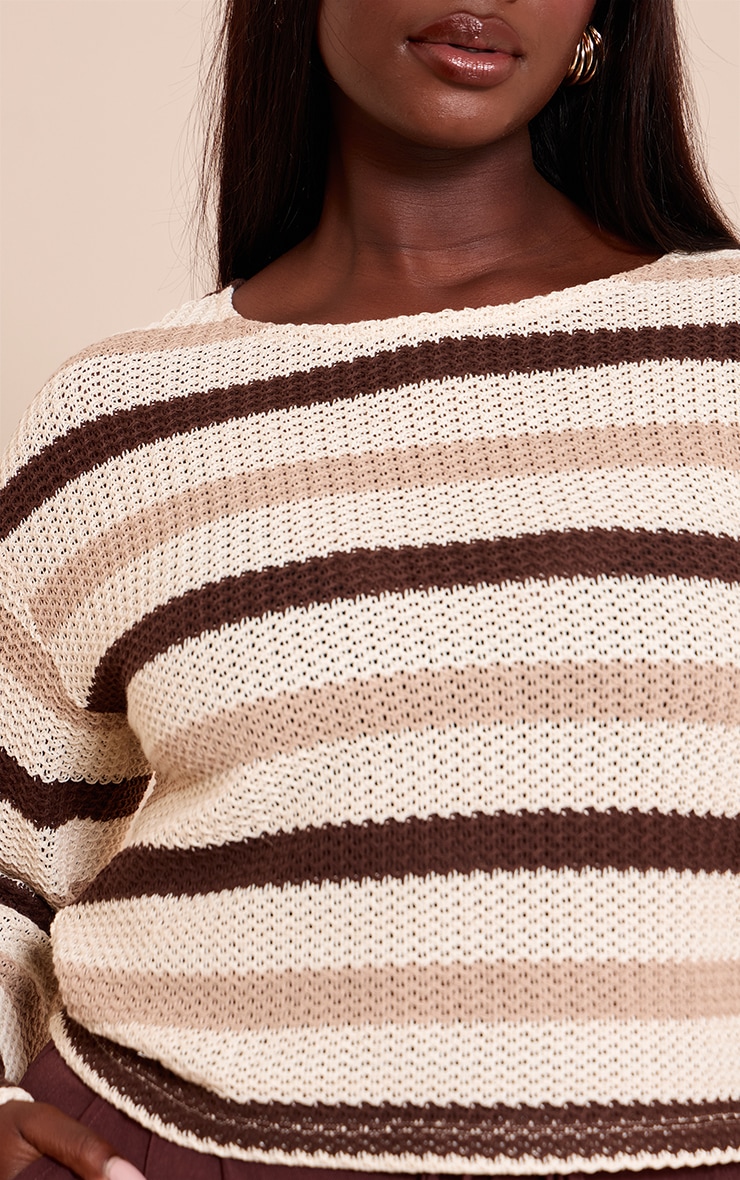 Plus Brown Striped Boatneck Long Sleeve Top image 4