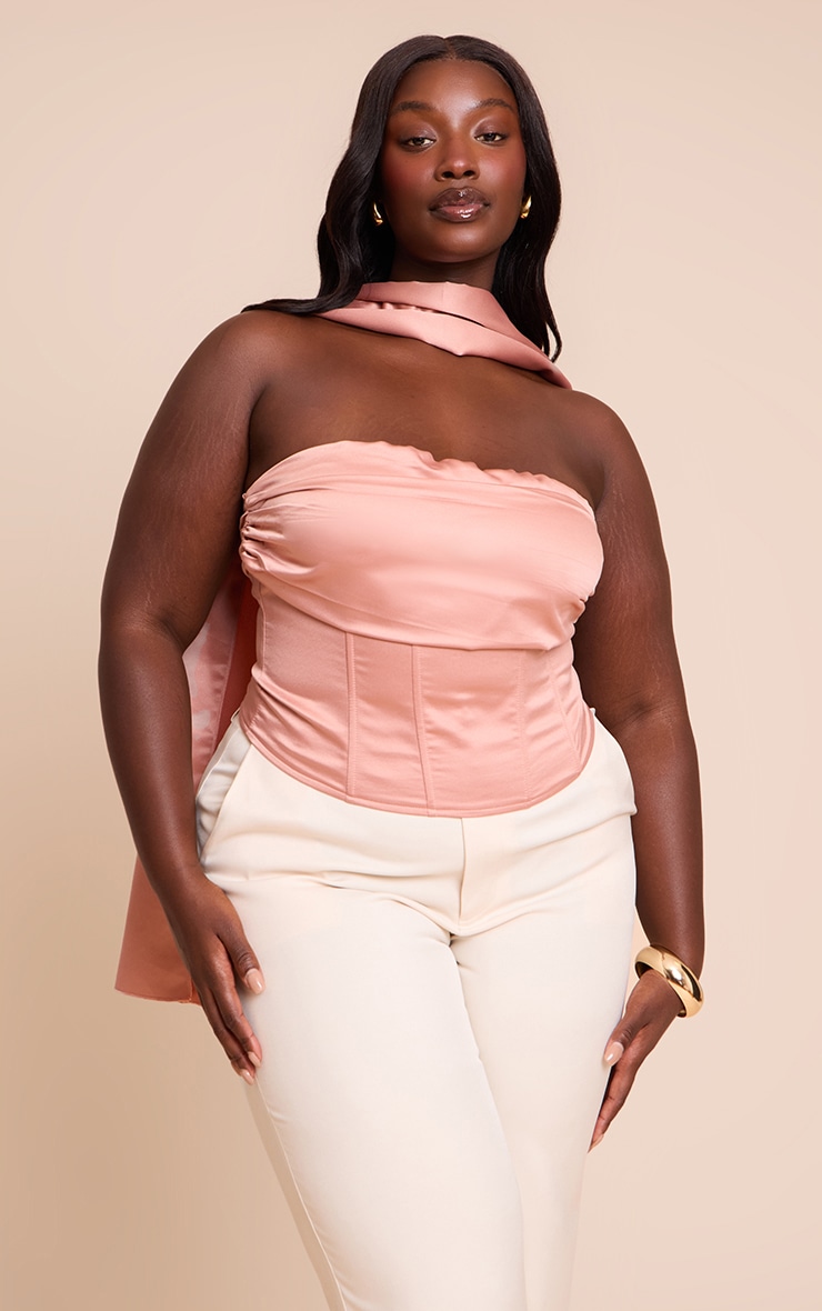 Plus Dusty Pink Ruched Corset image 3