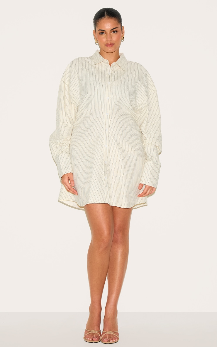 【売れ筋】 Cream Plus Pinstripe Dress Shirt Waist Cinch Seersucker アクセサリー