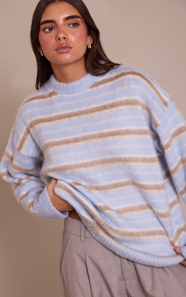 Brown Striped Brushed Knit Sweater image 4