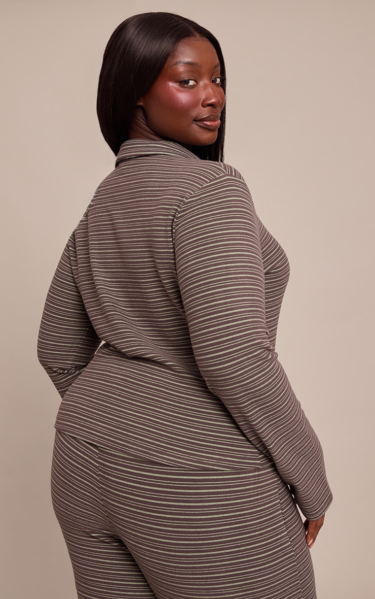 Plus Chocolate Pinstripe Collar Detail Long Sleeve Top image 2