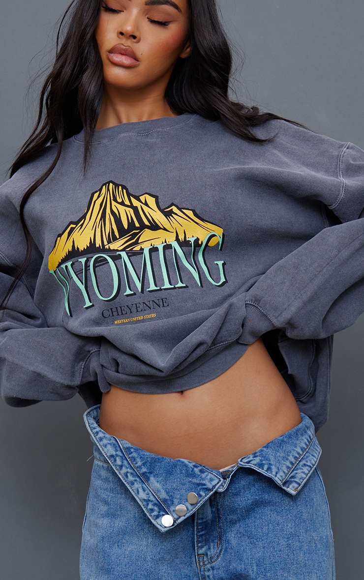 Charcoal Wyoming Graphic Printed Washed Sweatshirt image 4