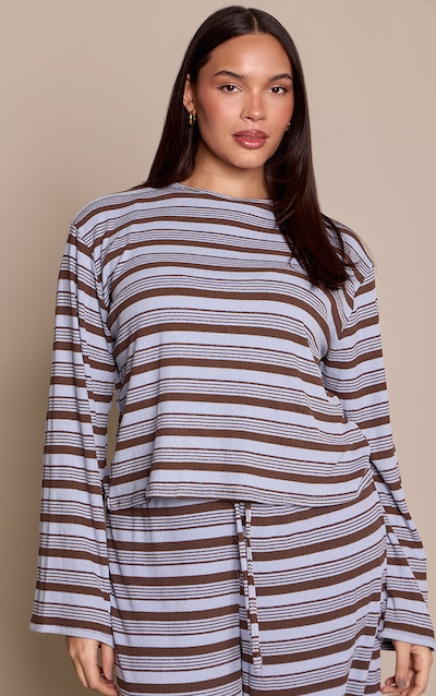 Plus Blue Textured Stripe Detail Long Sleeve Top