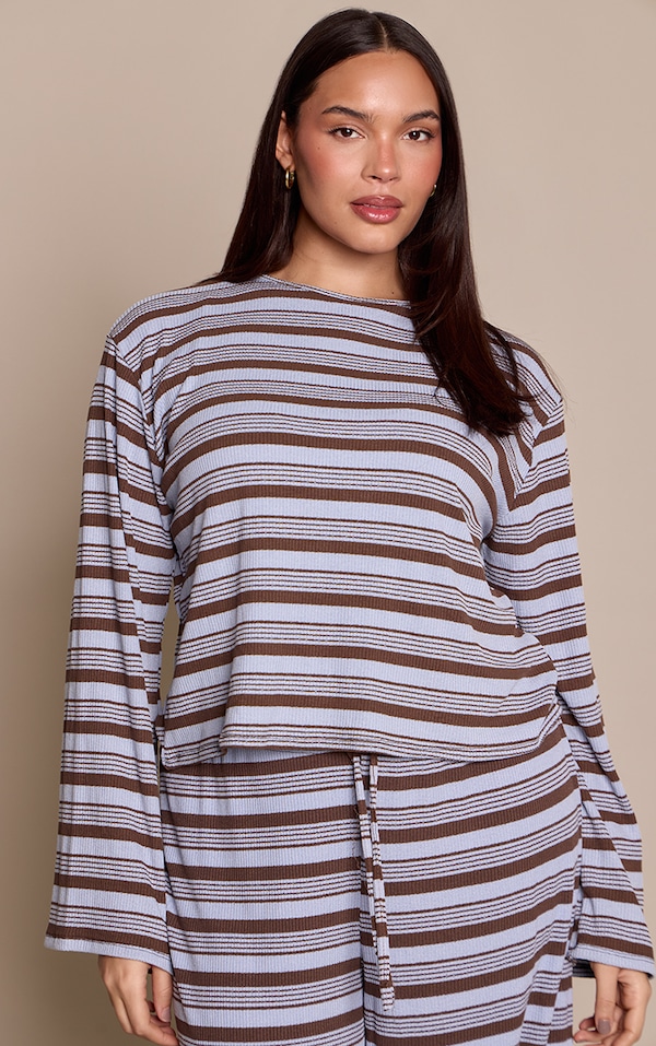 Plus Blue Textured Stripe Detail Long Sleeve Top 