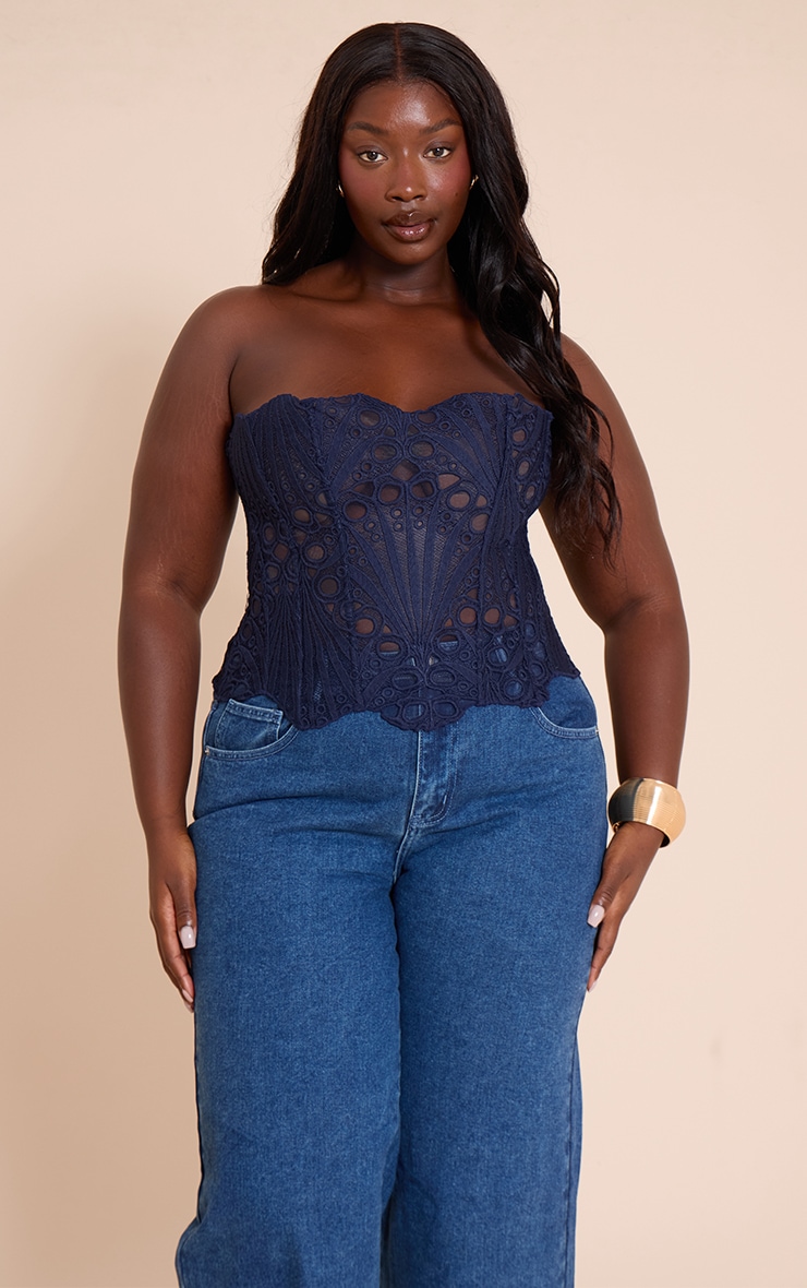Plus Navy Textured Sheer Floral Lace Corset image 1