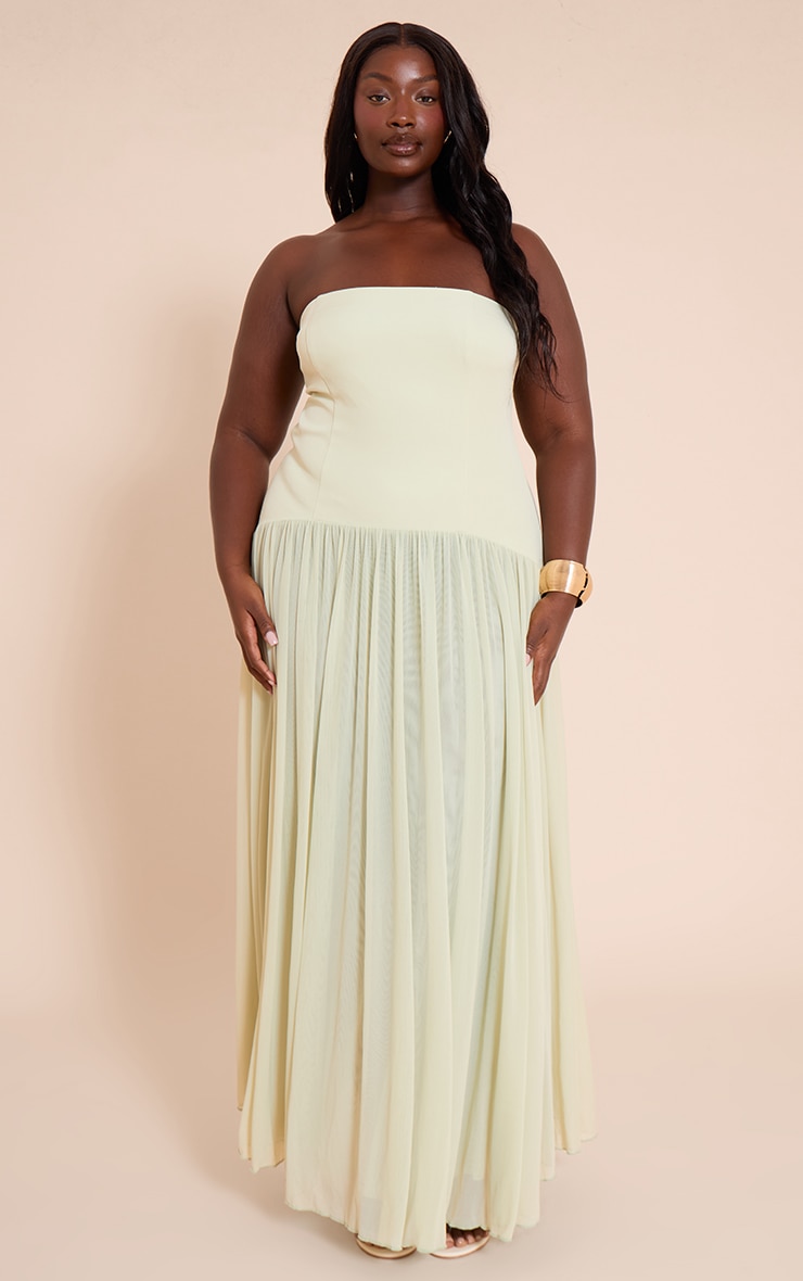 Plus Sage Bandeau Chiffon Pleated Maxi Dress image 1