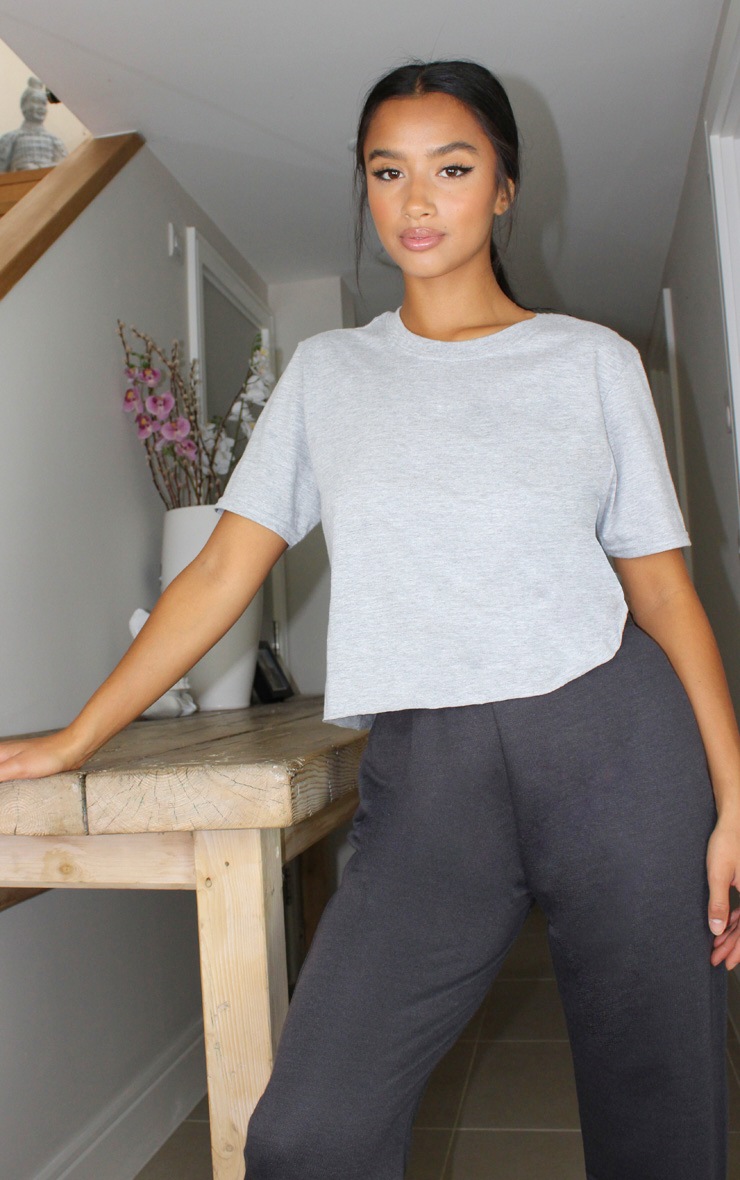 Petite Grey Crop T -Shirt