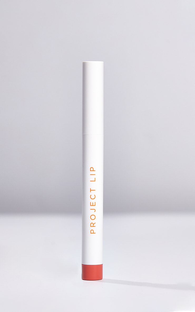 Project Lip Plump & Fill Lip Liner Tease image 2