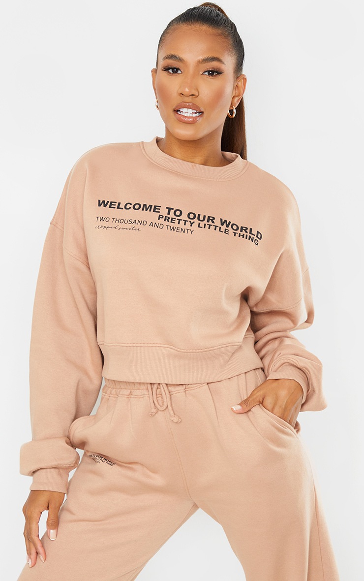 PRETTYLITTLETHING Tan 2020 Slogan Cropped Sweater