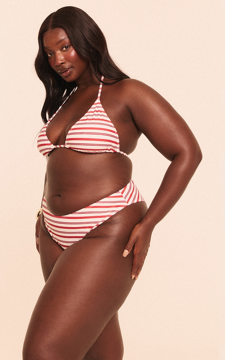 Plus Red Stripe Triangle Bikini Top image 3