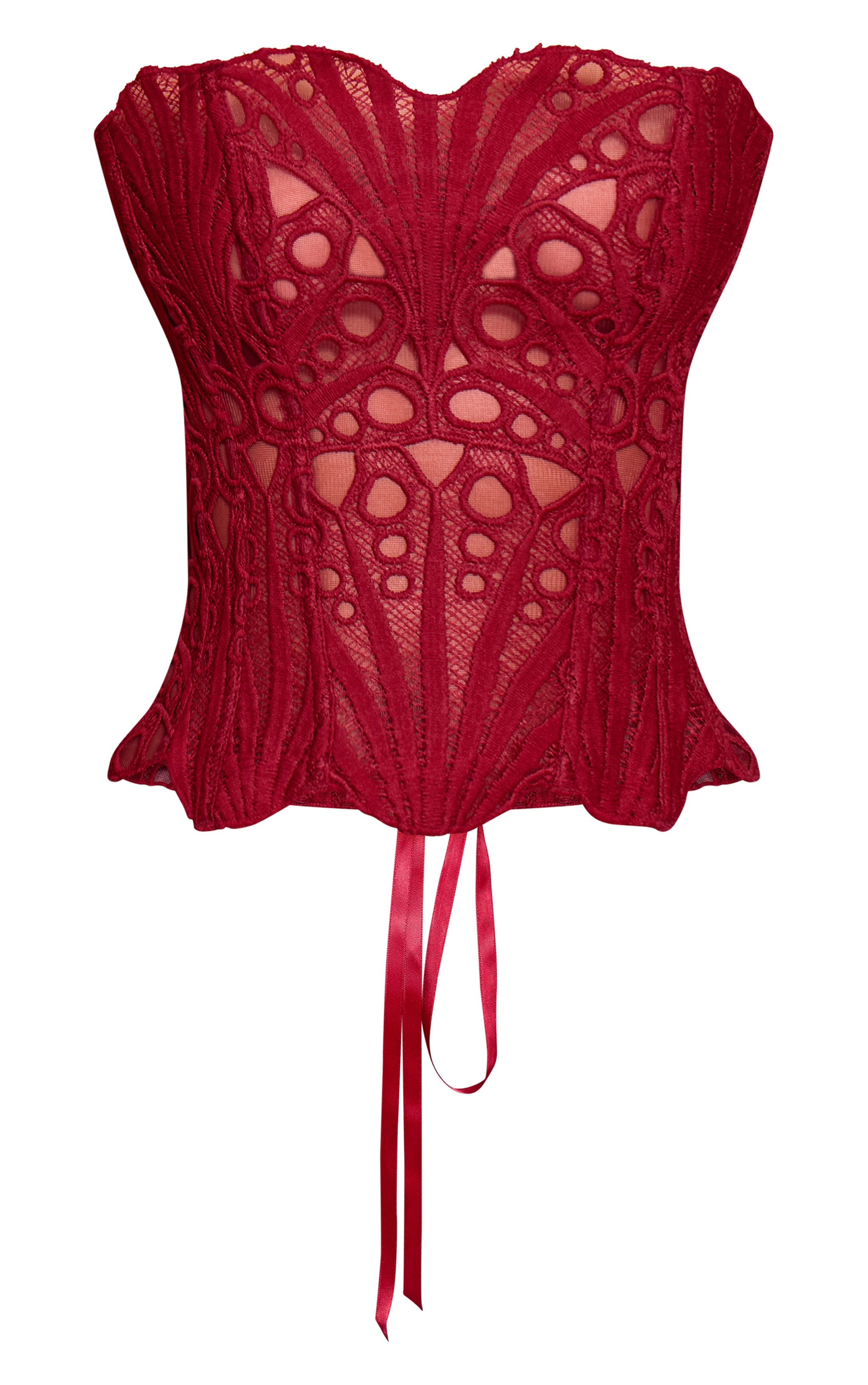 Petite Burgundy Textured Sheer Floral Lace Corset image 5
