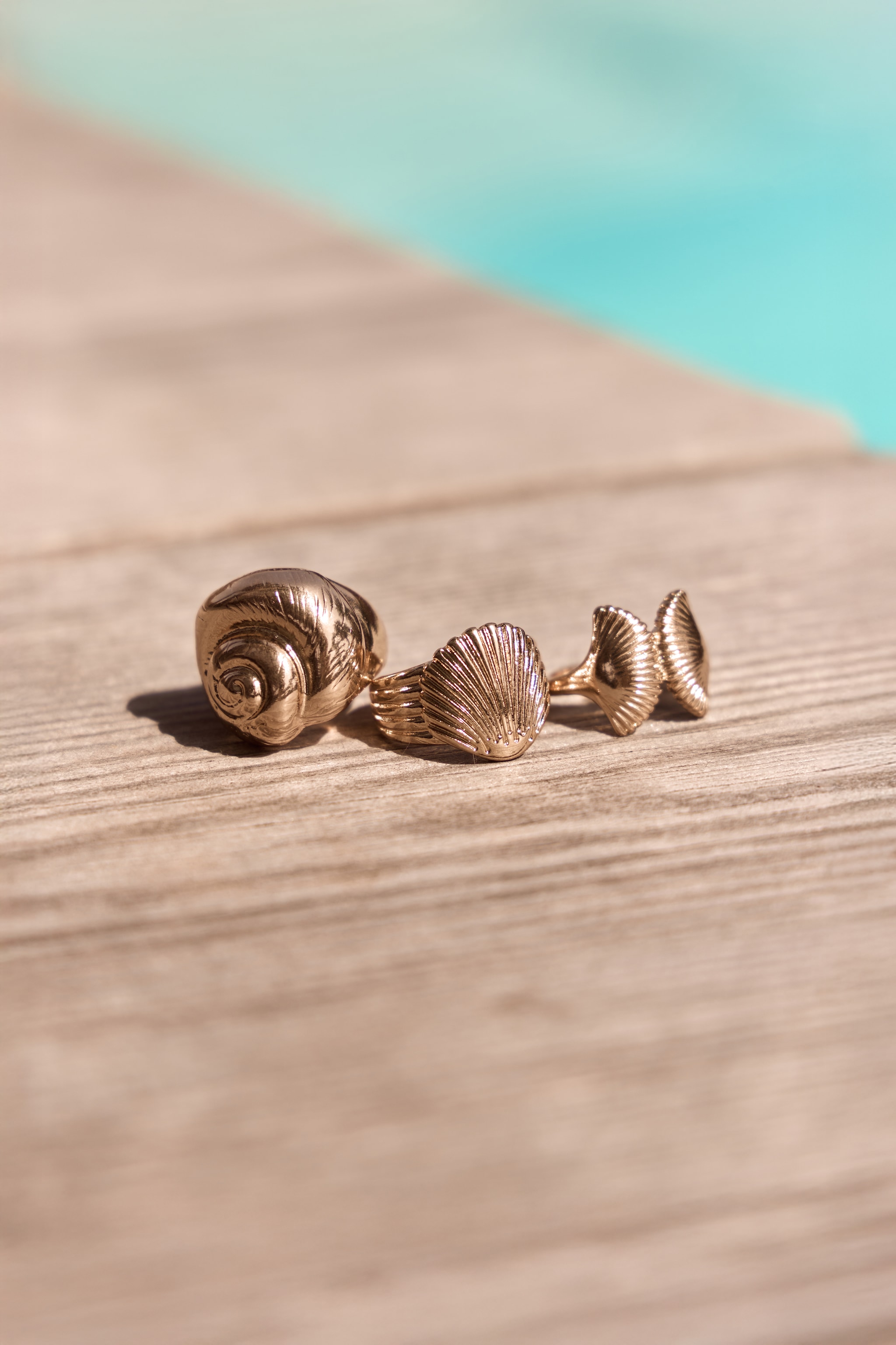 Gold Textured Assorted Shell Ring Multi Pack