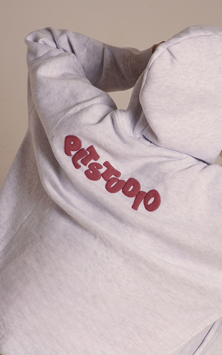 Ice Grey PLT Studio Archive Puff Print Oversized Hoodie image 4
