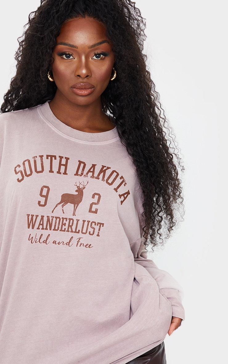 Taupe Washed South Dakota Printed Long Sleeve T Shirt