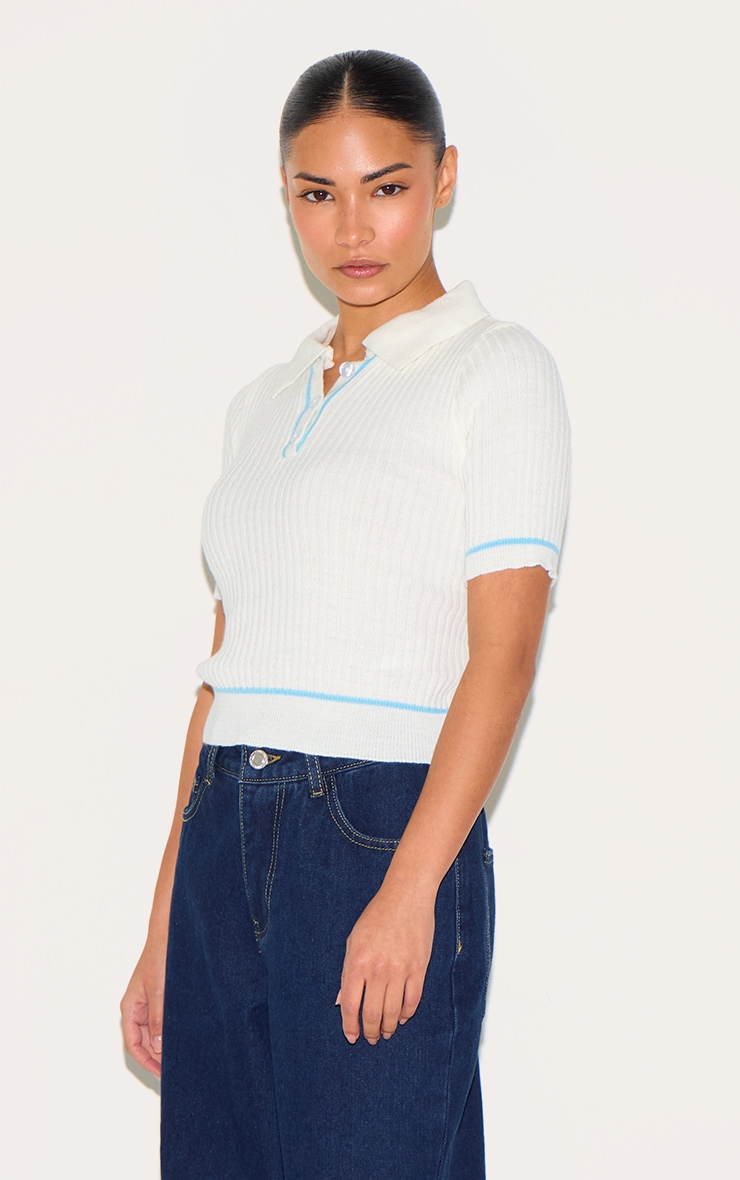 Petite Baby Blue Knitted Polo Top image 2