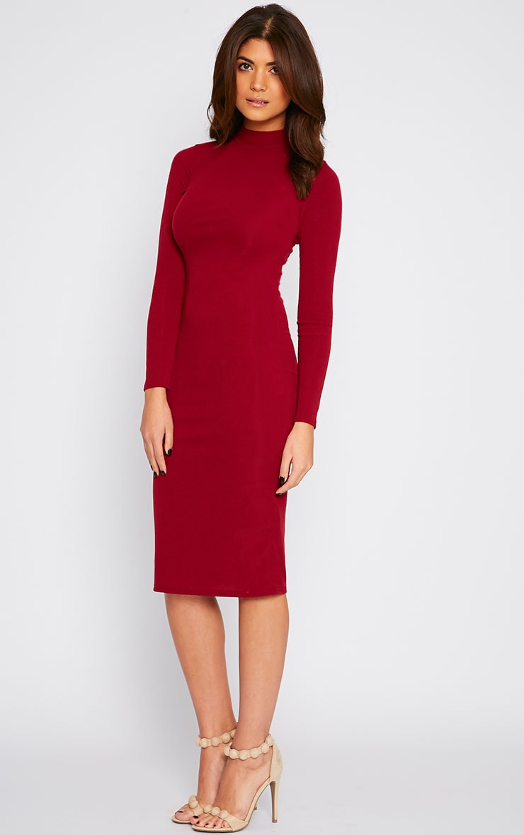 polo neck midi dress
