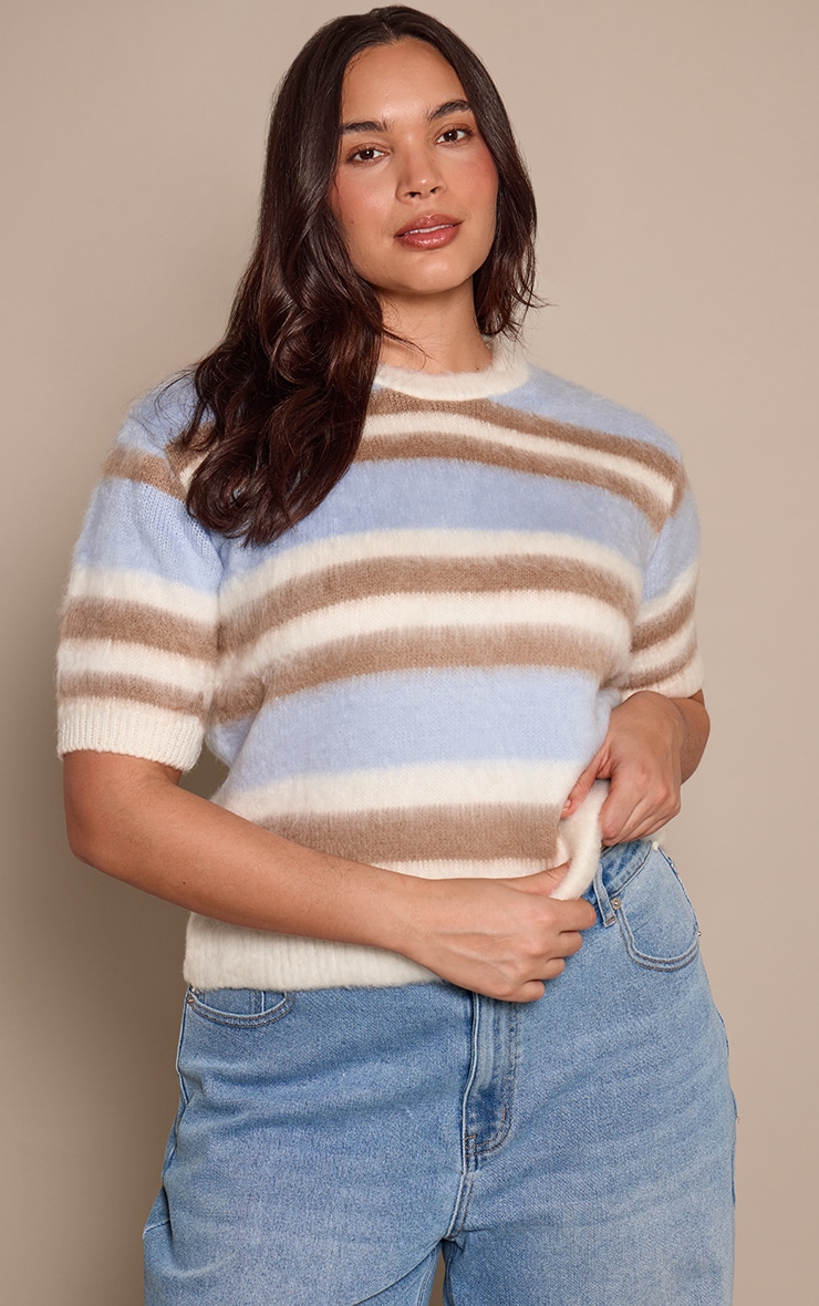  Plus Soft Grey Brushed Striped T-Shirt image 1