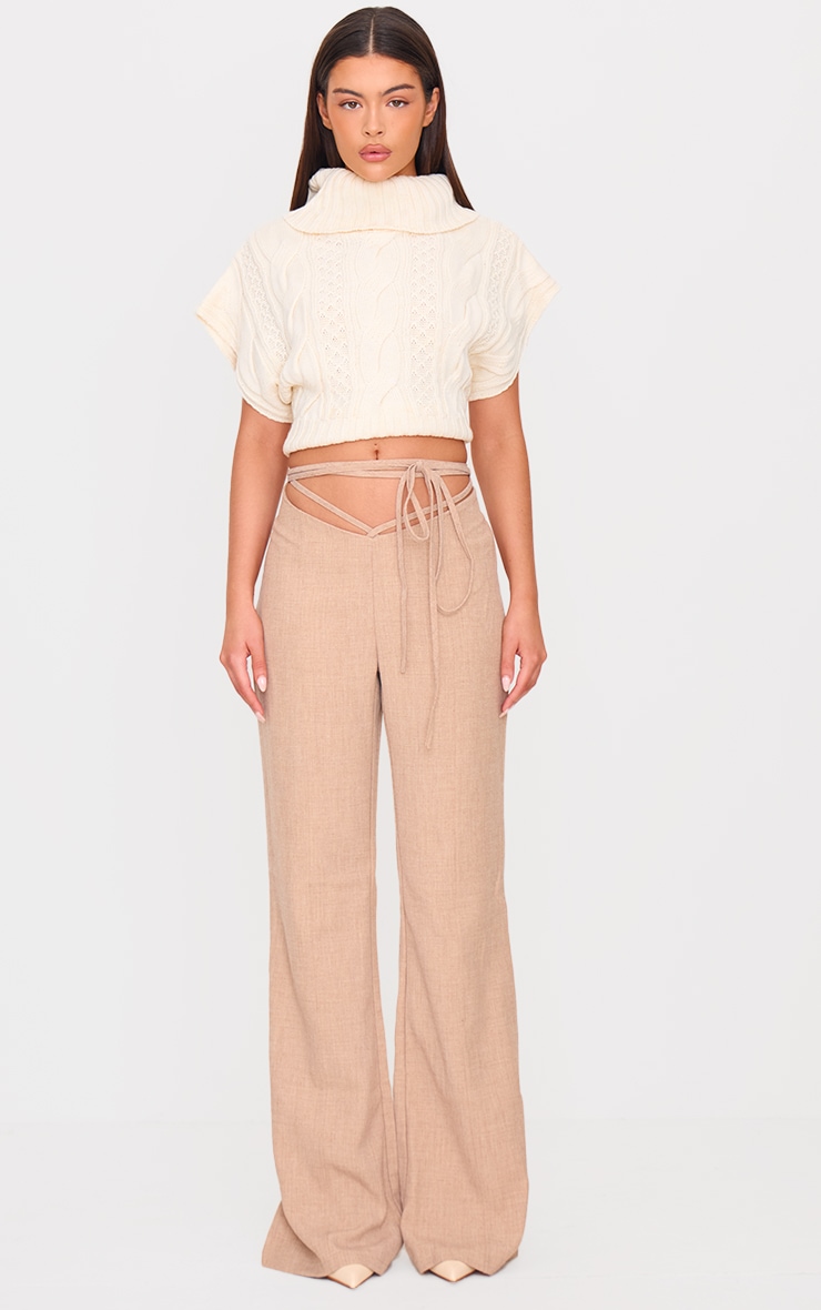 PLT Label Taupe Tie Waist Trousers image 1