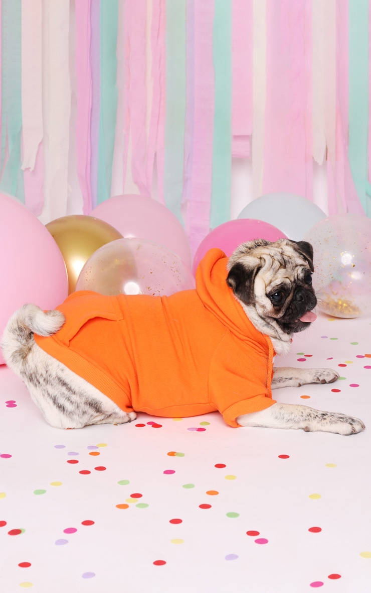 Orange Doggy Hoodie