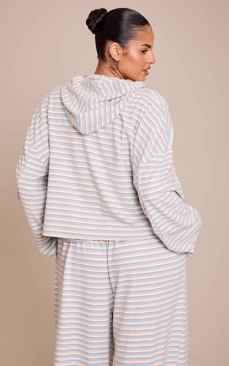 Plus Light Blue Striped Soft Fleece Zip Up Hoodie image 2