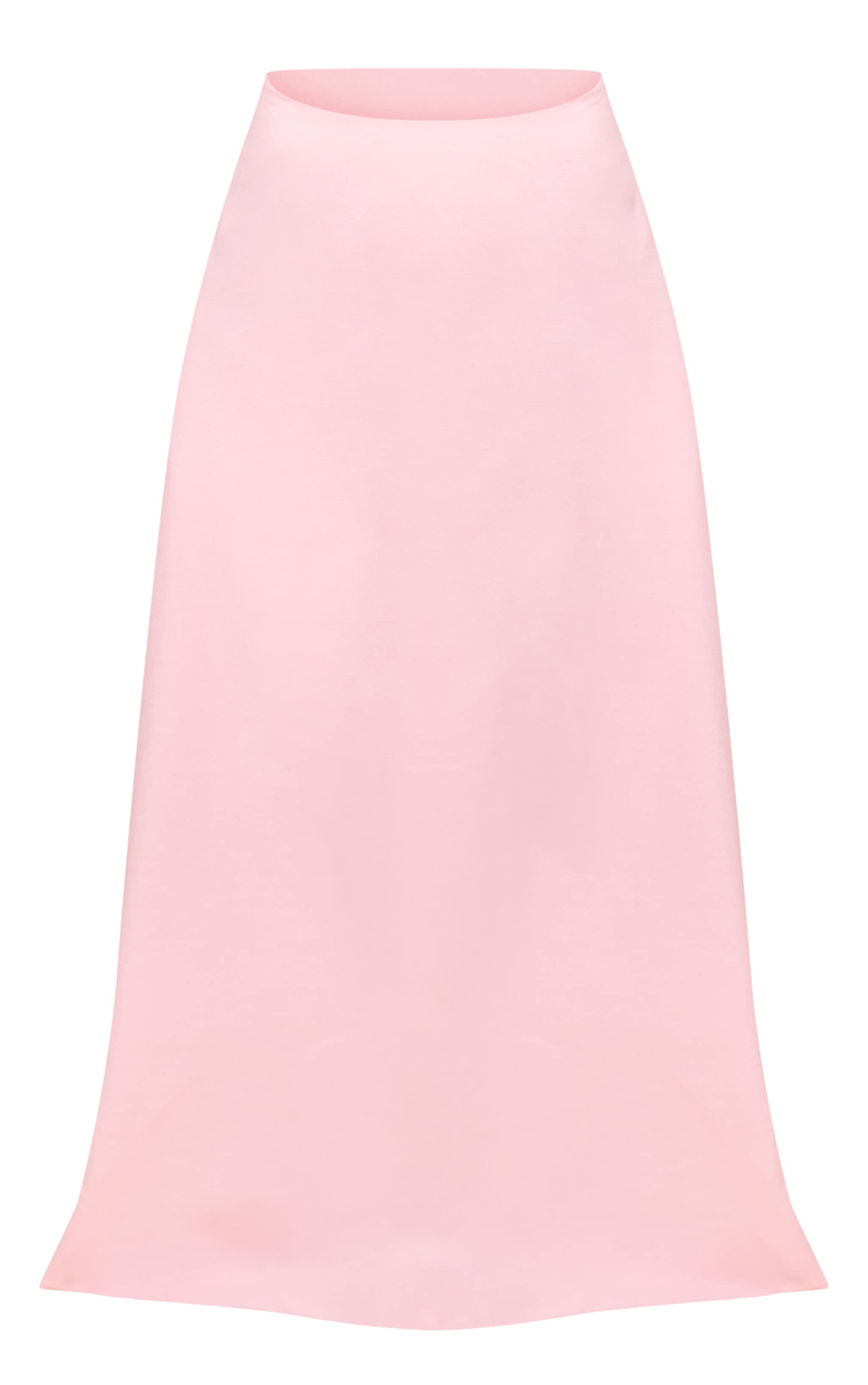 Petite Blush A Line Maxi Skirt image 5