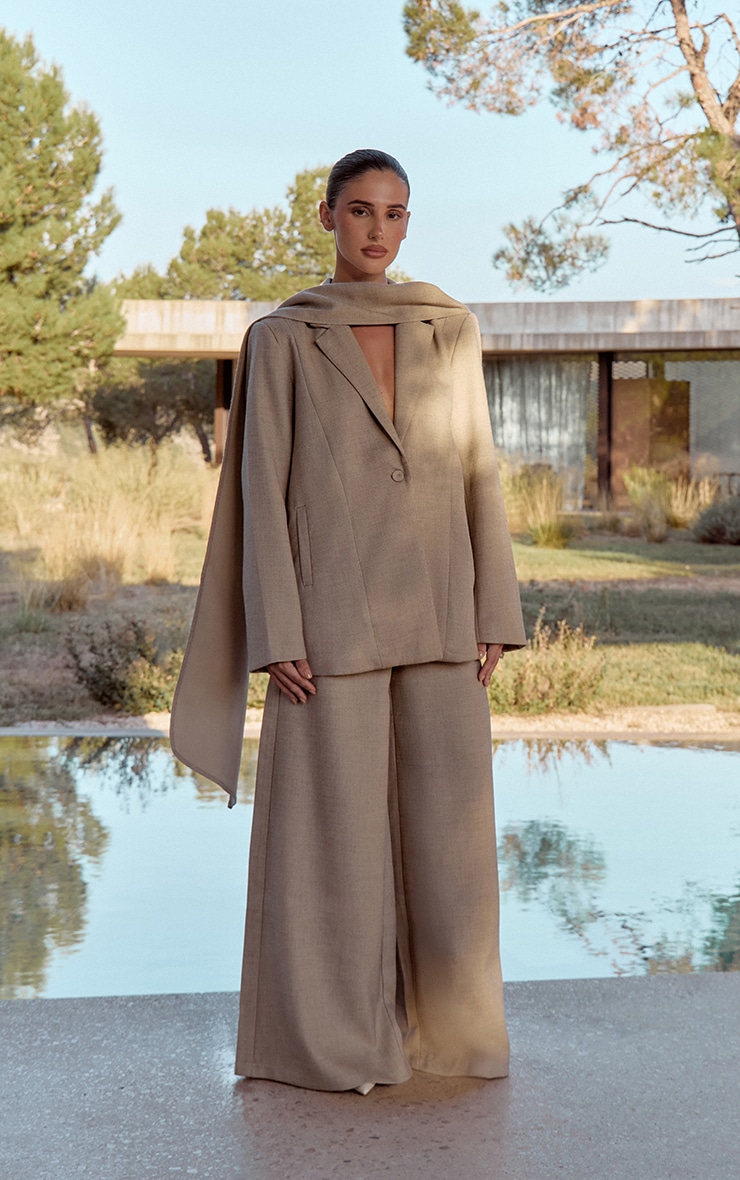 Stone Woven Wide Leg Extreme Pleated Pants image 1