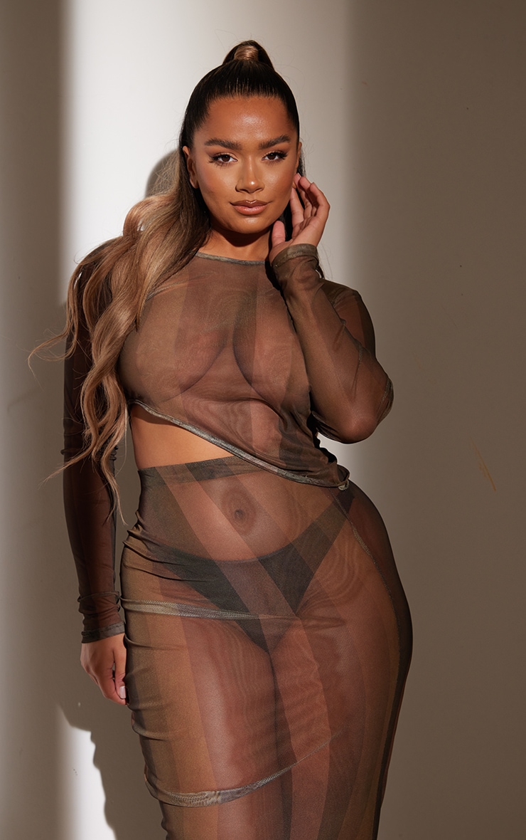 Shape Brown Stripe Print Mesh Long Sleeve Asymmetric Hem Crop Top