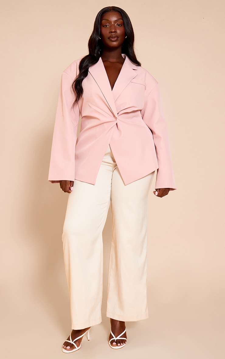 Plus Pale Pink Tailored Cinched Waist Blazer image 3