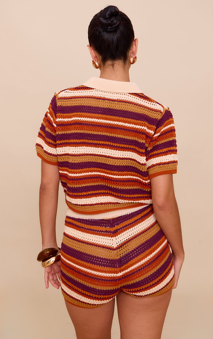 Multi Crochet Stripe Knit Polo Top image 2