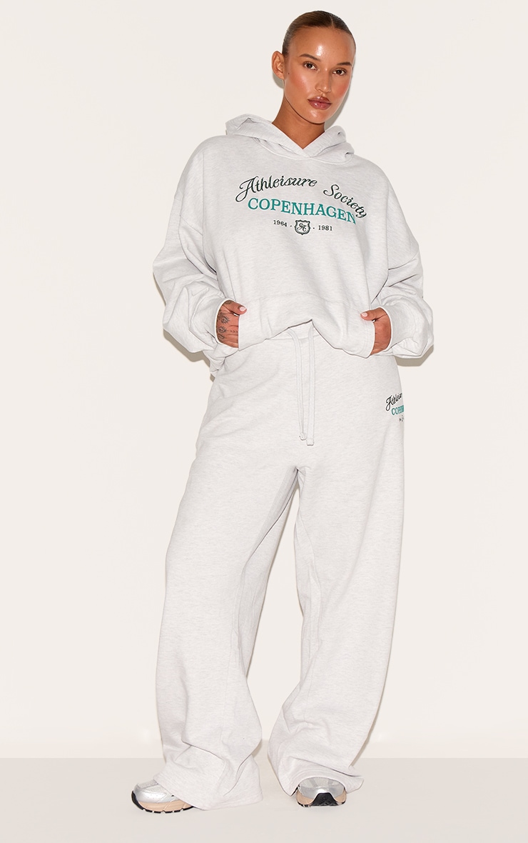 Plus Hoodie deluxe gris brodé "New York" image 3